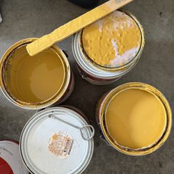 3.5 Gallons Of BEHR PREMIUM PLUS PAINT