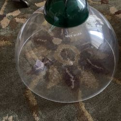 Bird Feeder - Squirrel Dome