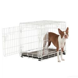 EveryYay White 2-Door Dog Crate, 24" L X 17" W X 19" H