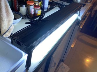Aquarium Light