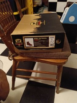 Irish setter by red wing shoes