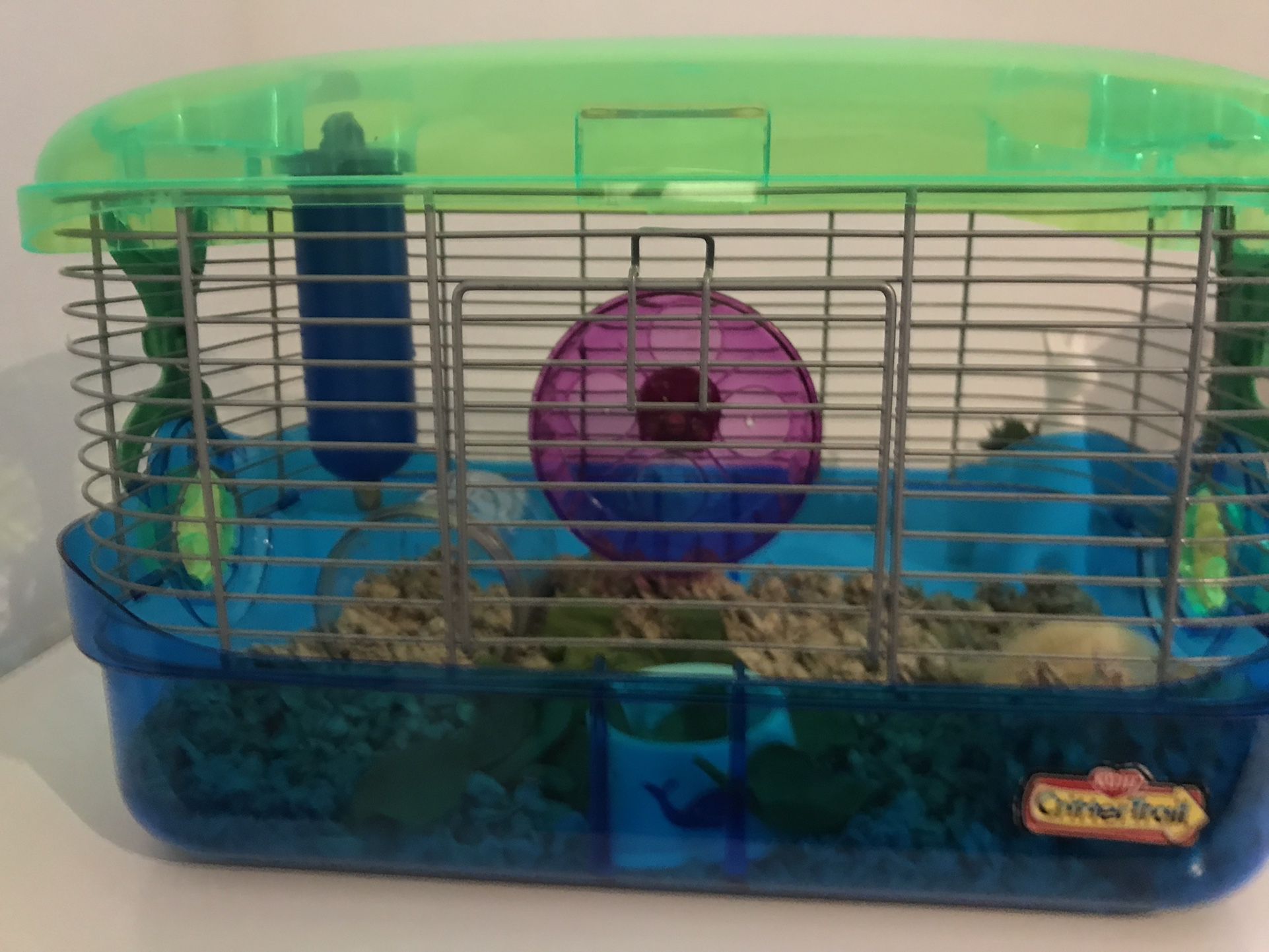Long Haired Hamster And Cage 