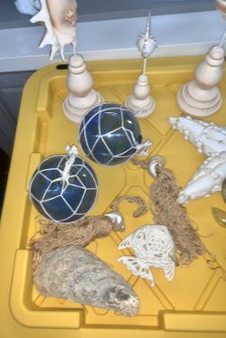 Huge Lot Nautical Beach Shells Decor 
