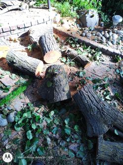 Firewood
