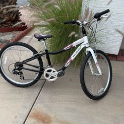 24” Specialized HotRock kids/childrens Girls 21 Spd, Hybrid Mountain Bike