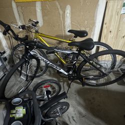 Bicycle 