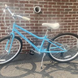 Guardian Bike