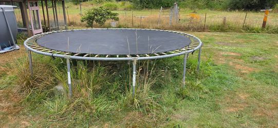 Free Trampoline