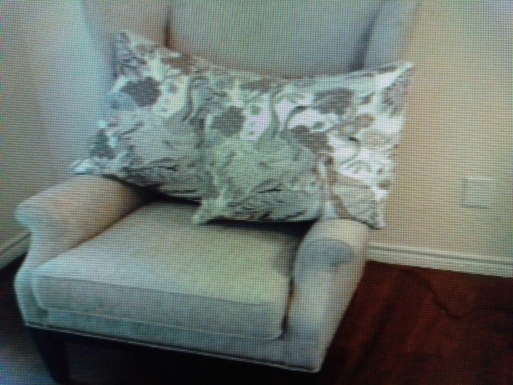 Sam MOOR Chair