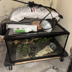 Snake Enclosure