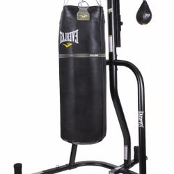 Everlast Speed + Punching Bag 