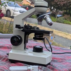 Microscope