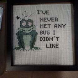 Frog Cross Stitch Framed
