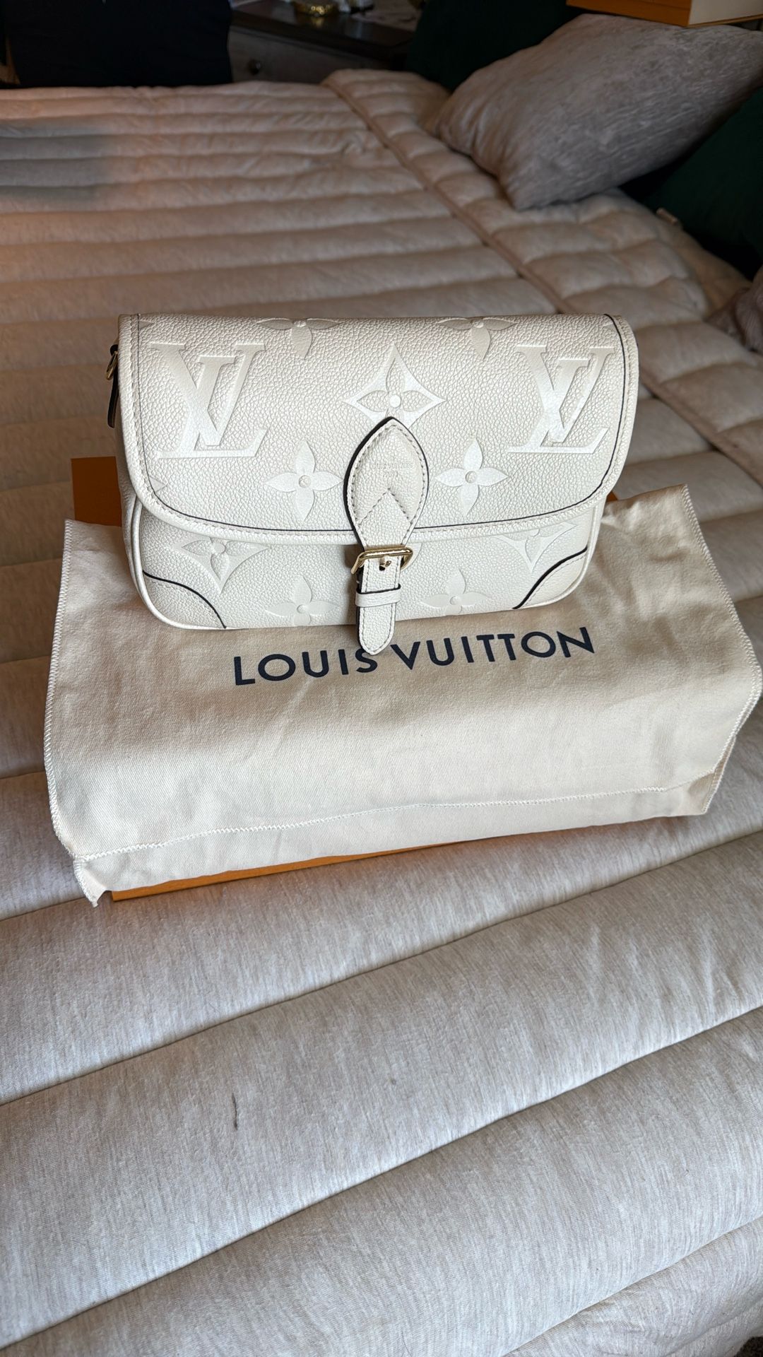 Louis Vuitton Purse Limited Edition