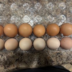 Farm Fresh 