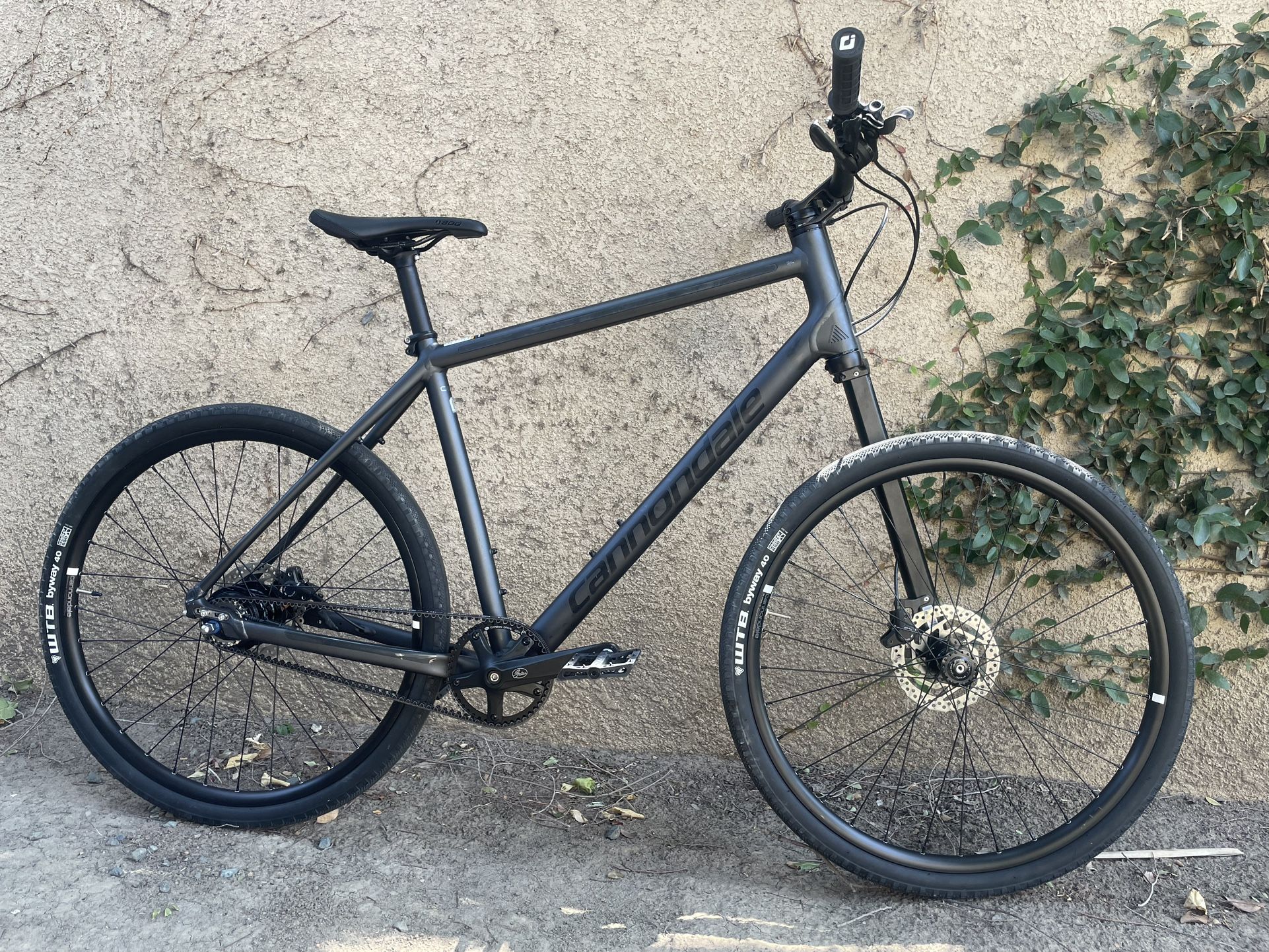 Cannondale Bad Boy 1