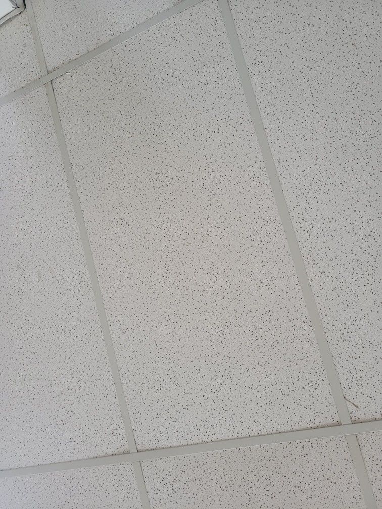 Ceiling Tiles