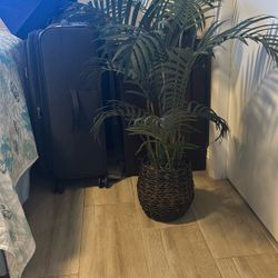 Artificial Palm Tree Plant