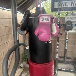 Punching bag and stand