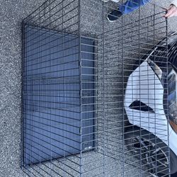 Big Dog Cage