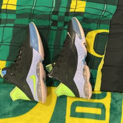 Men’s LeBron Basketball Shoes