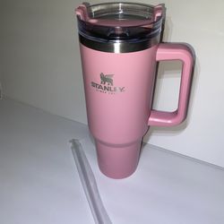 Hot Pink Stanley Cup 40oz w/ Handle  Stanley cup, Stanley, Stanley water  bottle