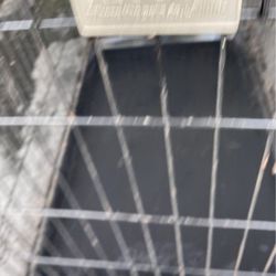 Cage For Bigger Dog $40