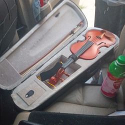 Violin
