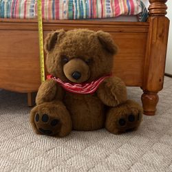 Brown Bear