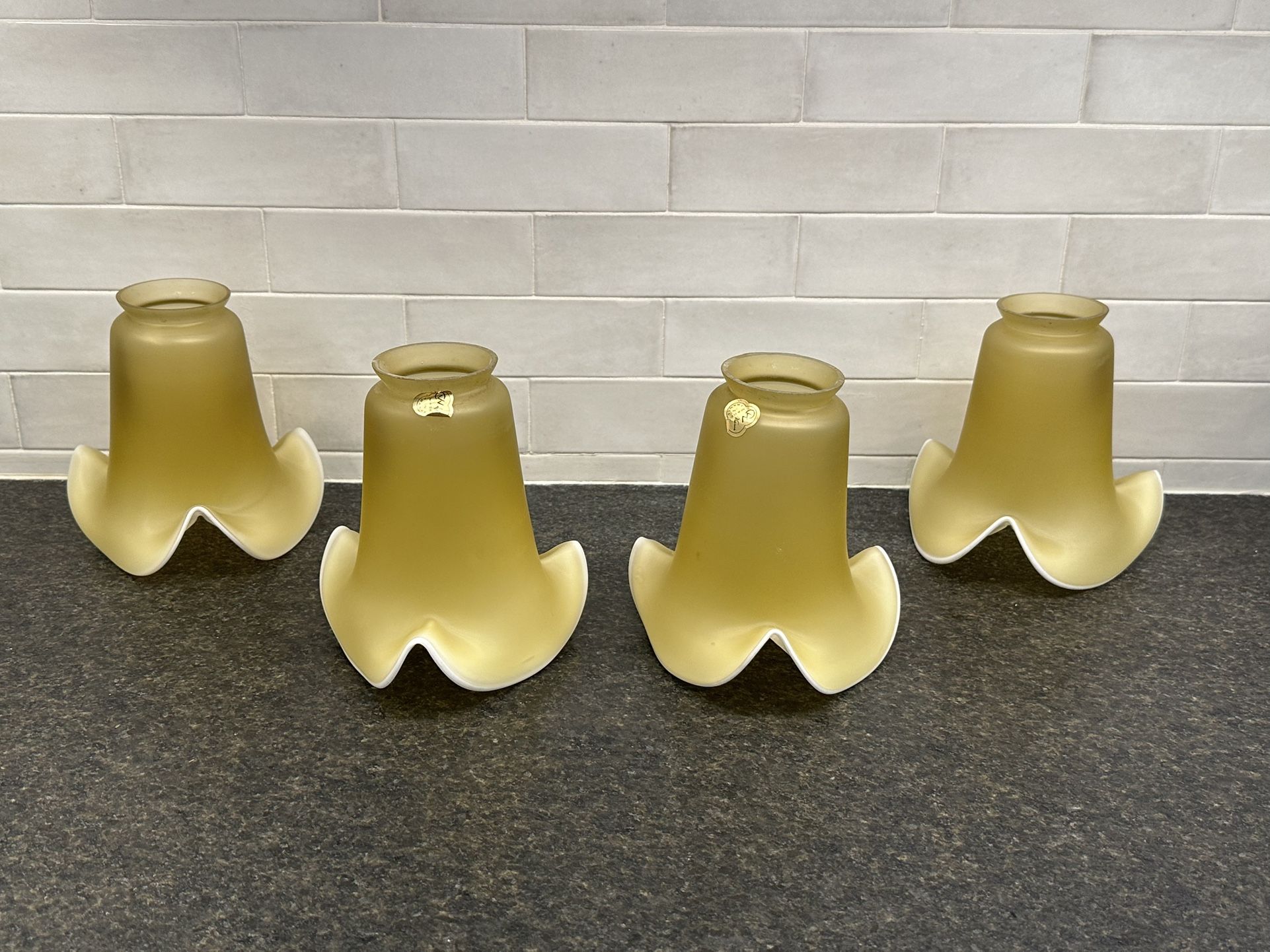 Vianne Tulip Vintage Glass Shades - Set of 4