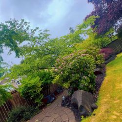 🌿 FREE Garden Plants & Landscape Rocks – First Come, First Serve! 🌿