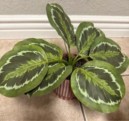 ‏Artificial plant