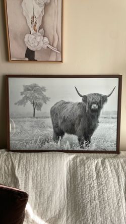 Framed Black & White Highland Cow