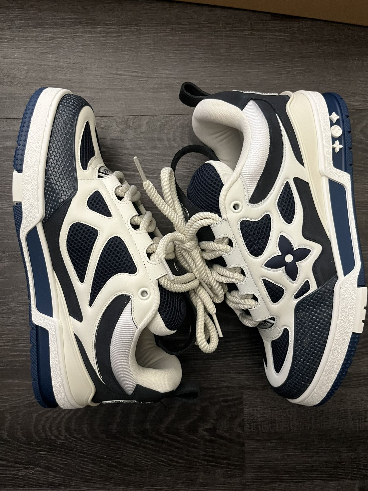 Louis Vuitton skate shoes