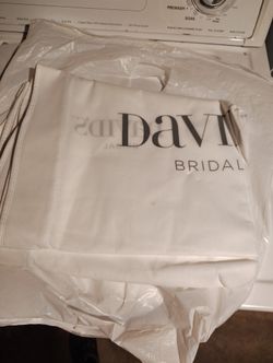 David's Bridal Bag 
