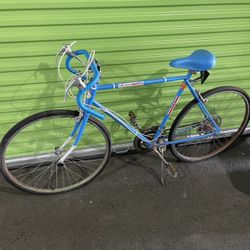 Vintage Free Spirit 10 Speed Bicycle Bike Fixie 