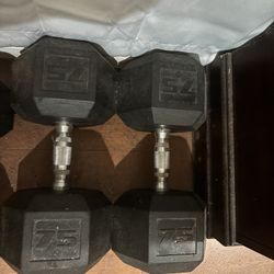 75 Lbs.  Hex Dumbbell