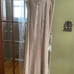 Beautiful Sparkly Light Brown Dress