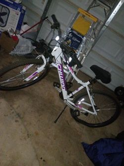 Schwinn bike 27"