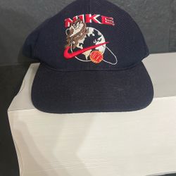 Nike Vintage taz hat RARE 