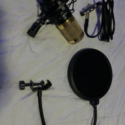 Professional Microphone Set For Radio Or Interviews 