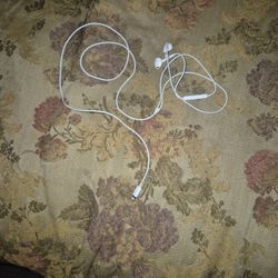 Used Apple Lighting Ear Phones