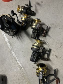 Bg Reels