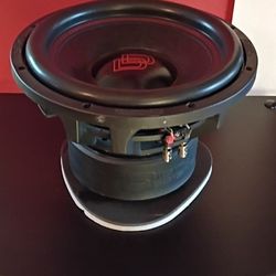 12" Subwoofer 