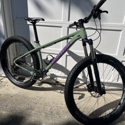 Santa cruz chameleon discount small for sale