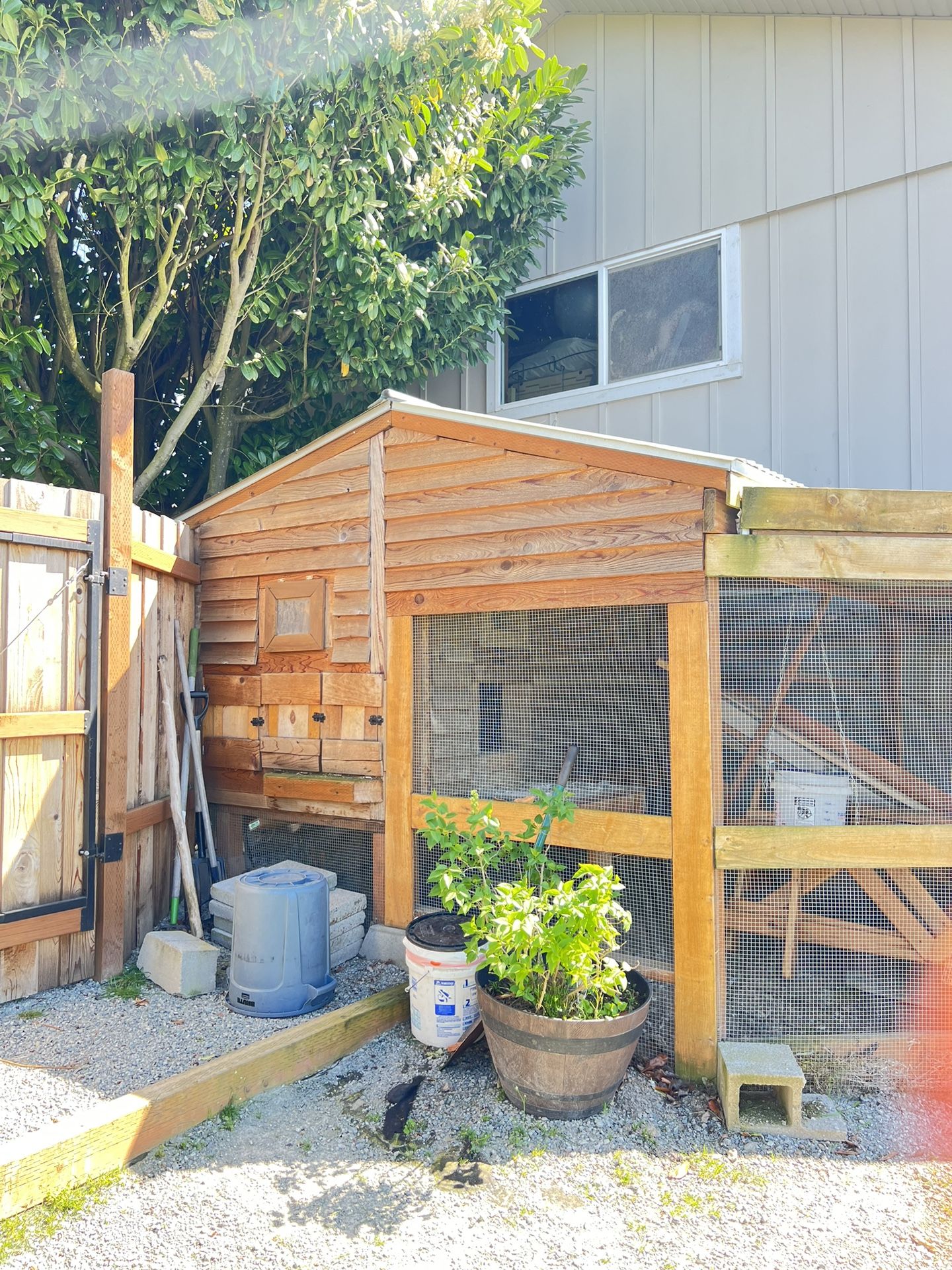 Chicken Coop Very Sturdy