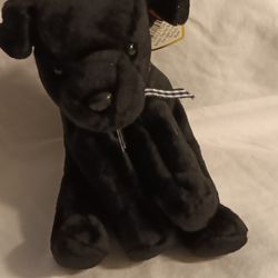 Beanie Baby RARE 1st Edition With Errors