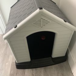  Dog House 
