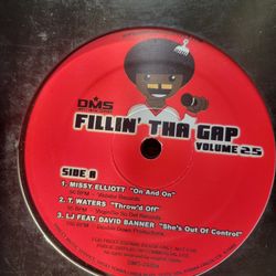 Fillin Tha Gap Vol.25