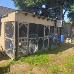 Pigeon,chicken.,birds  Cage